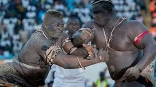 Senegalese Wrestling knockout Gris Bordeaux Malick Niang les Lutteurs Boxeurs Champions des KO [upl. by Cutlor]