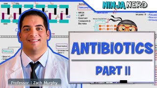 Antibiotics Folic Acid Pathway Inhibitors Part 2 [upl. by Atsillac]