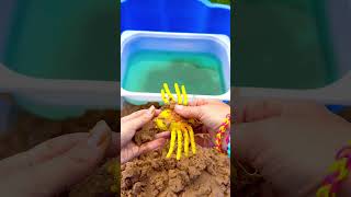 Find Bug Toys in Sand  Learn Bug Insect Names for Babies Kids Centipede Slug Spider Ladybug Bee [upl. by Atiragram]