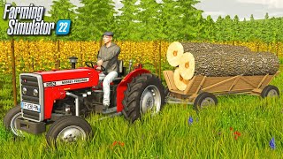 A New Start On My Farm OffGrid  Farming Simulator 22 [upl. by Tirrej]