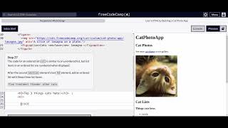 Responsive Web Design  Cat Photo App 252627 [upl. by Eillod473]