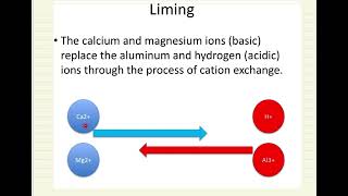 Cation Exchange [upl. by Plate856]