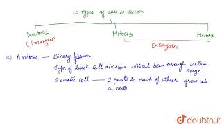 CELL DIVISION AMITOSIS MEIOSIS  MITOSIS [upl. by Fording]