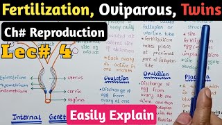 Fertilization Twins Oviparous Viviparous And Ovoviviparous In Urdu Hindi  Class 12 Biology [upl. by Acimaj728]