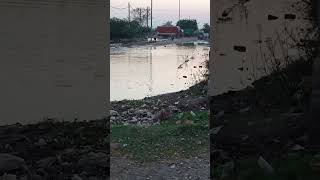 Pura delhi ma 380 jhil 380jhill flooddelhi [upl. by Abehs]