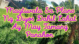 Magtiwala Sa Plano Ng Diyos Dahil Lahat Ay May Tamang Panahon everyone followers highlights [upl. by Solana298]