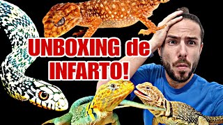 UNBOXING de ESPECIES ALTAMENTE BRUTALES REPTILES HIGH LEVEL Con cual os quedais 🐍🦖🐸🐉 [upl. by Demetra]