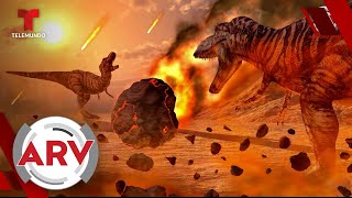 Expertos revelan cómo fue el meteorito que exterminó a los dinosaurios para siempre  Telemundo [upl. by Jarnagin]