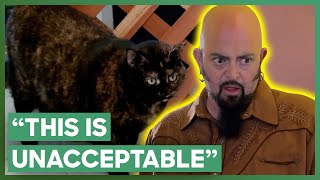 Jackson Galaxy Helps A Couple With Their “Jekyll and Hyde” Cat  My Cat From Hell [upl. by Evania]