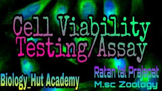 Cell Viability TestingAssay by Ratan lal Prajapat Cell cytotoxicity MTT Assay Cell Viability [upl. by Valleau706]