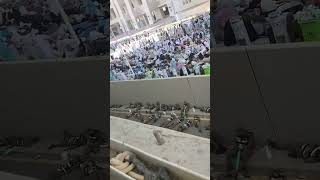 quotMashallahquot🤲💞😭 youtubeshorts islamicmusic love rasoolallahﷺ naatsharif madina ytshortviral [upl. by Treblihp]