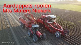 Aardappels rooien  Mts Maters Niekerk [upl. by Ayalahs893]