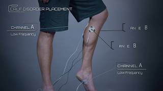 Calf Placement Example [upl. by Tati]