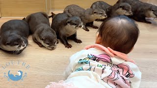 Otter Meet Human Baby For The First Time [upl. by Elttil]