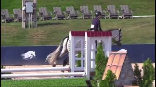 Capitolino DVE for lease after Maclay finals [upl. by Namialus]