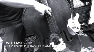 MSP Pickups Double Bass [upl. by Elicul242]