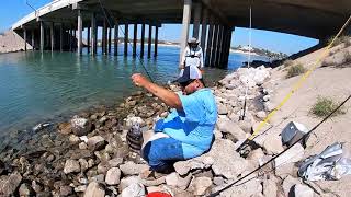 PACKERY CHANNEL FISHING FOR SHEEPSHEAD [upl. by Arihaj]