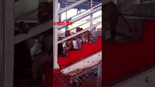 Agra cantt station Masti krte hue monkey viralshort funny youtubeshorts [upl. by Novyad]