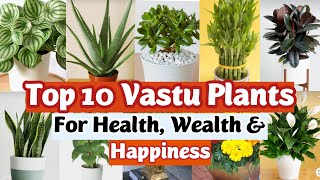 Top 10 Lucky Plants for Home  Vastu Plants  Best Indoor Plants  Lucky Plants for Home [upl. by Rehpotirhc]