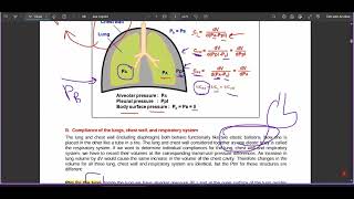 Lung Compliance and its Mechanical Functions [upl. by Shue]