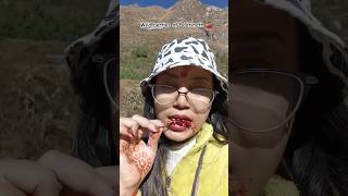 Edible Wild berries of Badrinath 🍒  Neelkanth Mountain traveling wildberries trekking [upl. by Lore]