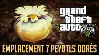 GTA V  EMPLACEMENT DES 7 PEYOTLS DORÉS BIG FOOT [upl. by Legnaesoj]