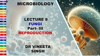 Understanding Fungal Reproduction [upl. by Yht]