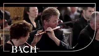 Bach  Buss und Reu from St Matthew Passion BWV 244  Netherlands Bach Society [upl. by Byron]