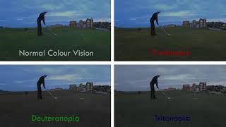 Protanopia vs Deuteranopia vs Tritanopia On St Andrews Golf Links [upl. by Head]