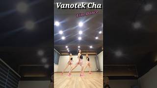 Vanotek Cha Linedance바노텍 차 라인댄스 Intermediate Cha Cha JLDK댄싱Koo [upl. by Giaimo]