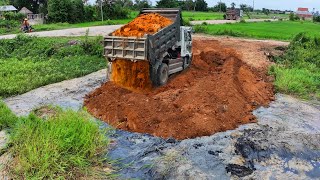 Start New Project Landfill Flooded Delete Pond Bulldozer KOmatSu D20p Push Soil Truck 5Ton Unload [upl. by Howard196]