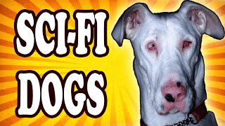 Top 10 Famous Dogs Straight Out of Science Fiction — TopTenzNet [upl. by Yasu]