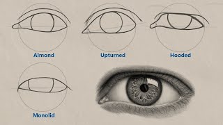 How to Draw Different Eye Shapes  UNIQUE [upl. by Cramer199]