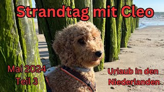 Strandtag mit Cleo in den Niederlanden 2024  Teil 3 [upl. by Faulkner310]