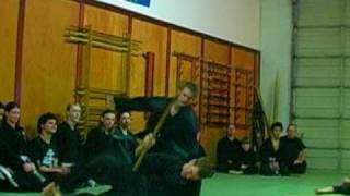 Kashiwa Bujinkan Ninjutsu Training showreel [upl. by Myrtice]