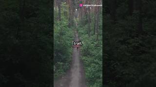 How Trail Running Transforms Your Mind – Unlock the Benefits [upl. by Wendalyn]