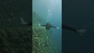 Diving to Okinawas underwater ruins with beautiful Hong Kong diversscubadiving okinawa scuba [upl. by Avan416]