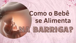 Como o Bebê se Alimenta Dentro da Barriga Da Mamãe [upl. by Diann941]