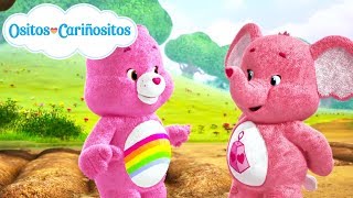 Ositos Cariñositos  Aprendiendo con Alegrosita y Elefante Corazón Gigante [upl. by Cilurzo]