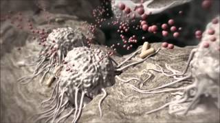 CGF Osseointegration Animation [upl. by Ambrosine428]