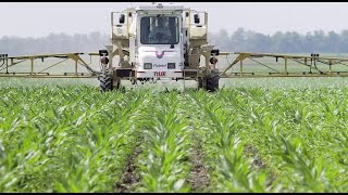 Increased immunity in weeds may threaten US crops [upl. by Lambertson470]