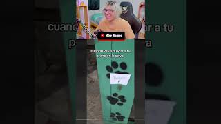 el timbre de mi perrito parati edits raccion memes funny mexico paratii s shorts [upl. by Eniretac391]