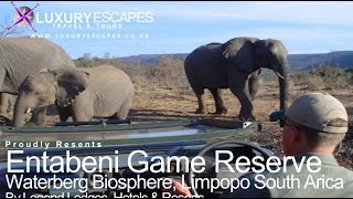 Entabeni Game Reserve Limpopo South Africa [upl. by Noella80]