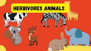 Herbivores Animals [upl. by Starks777]