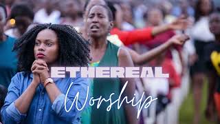 Worship SF204  Phaneroo Choir [upl. by Nollid551]