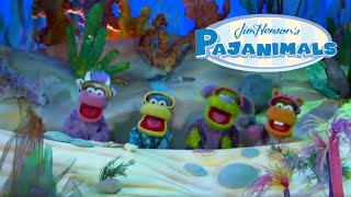 Nighttime Playtime Song  Pajanimals  Jim Henson Family Hub [upl. by Cott589]