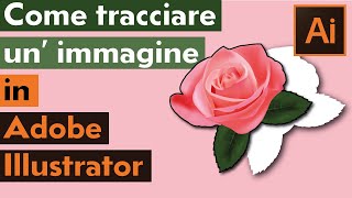 COME TRACCIARE UN IMMAGINE IN ADOBE ILLUSTRATOR [upl. by Ltney]