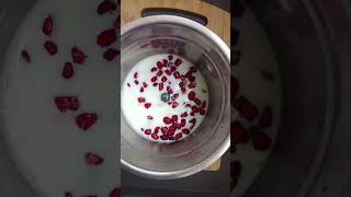 Lets make Pomegranate Milkshake asmr cooking juicefruit shortsfeed [upl. by Muna]