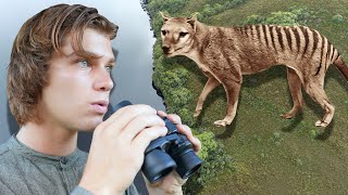 The Tasmanian Tiger THYLACINE is STILL ALIVE Documentary Pt1 [upl. by Lavinie525]