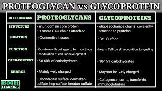 Proteoglycans Vs Glycoproteins  Difference Between Proteoglycans And Glycoproteins [upl. by Gertruda]